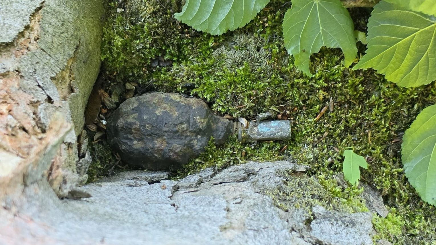 Niebezpieczne znalezisko w Kozińcu. Interweniowali saperzy