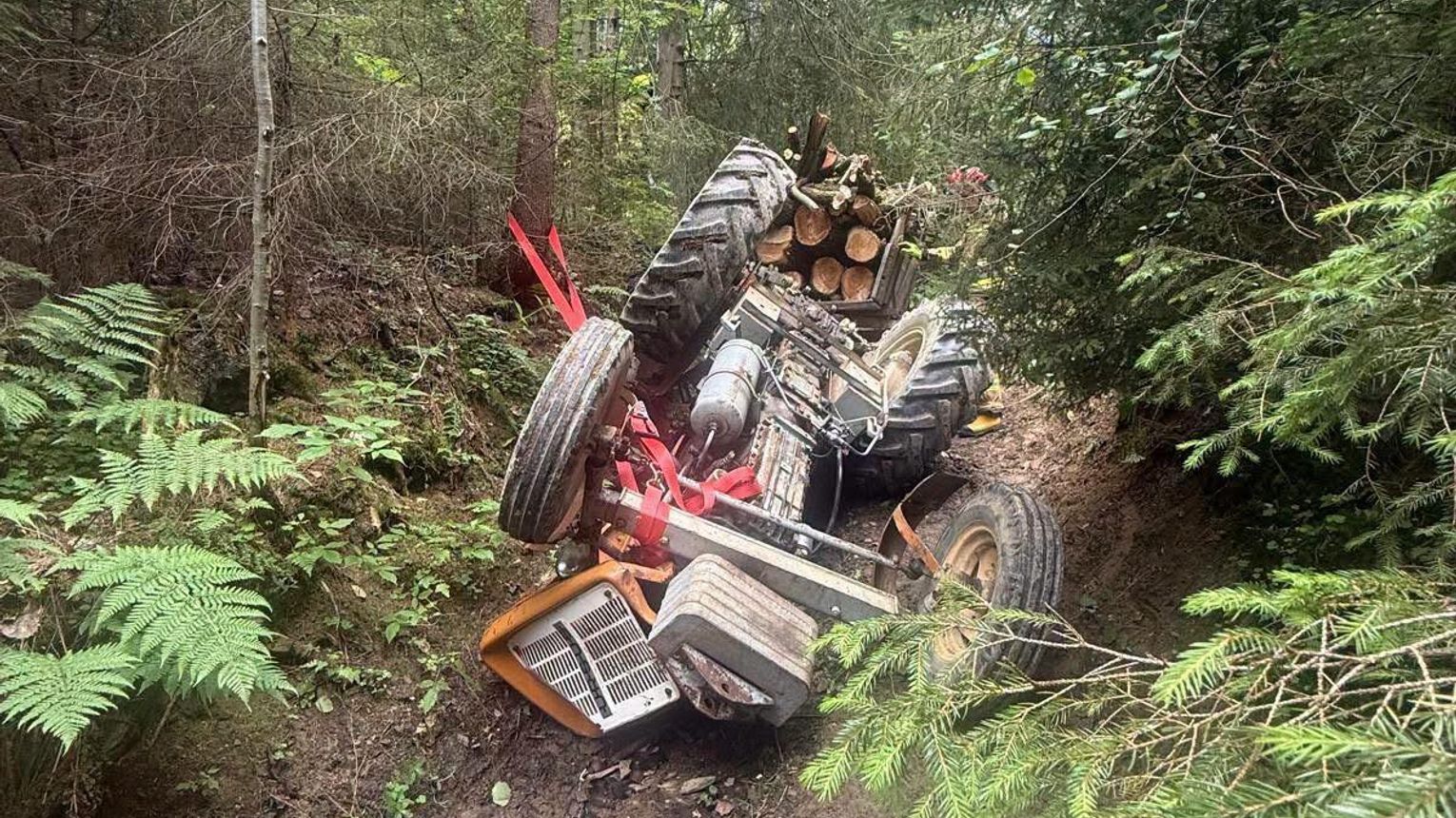 Tragiczny wypadek podczas transportu drewna w Białce Tatrzańskiej. Nie żyje 78-letni mężczyzna
